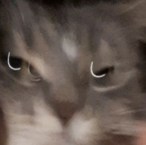 Meet your Posher, Bilal